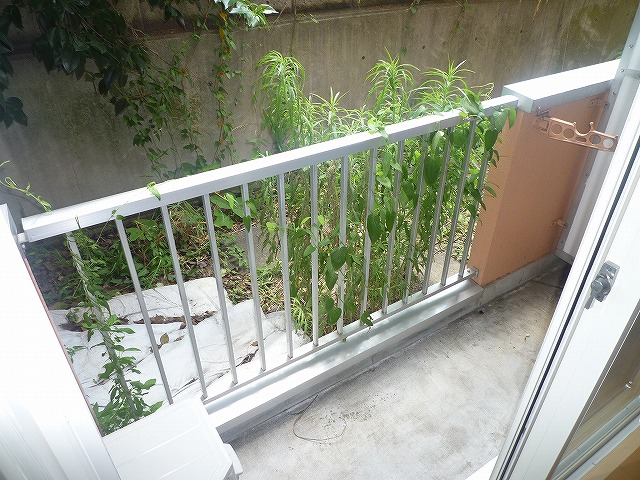 Balcony. Veranda