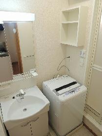 Washroom. With separate wash basin and washing machine