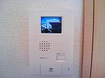 Security. Interphone with a monitor