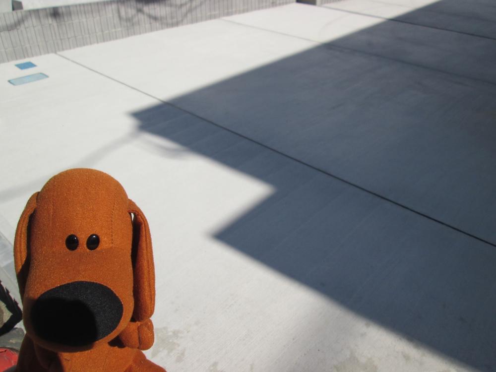 Parking lot. 1 Building