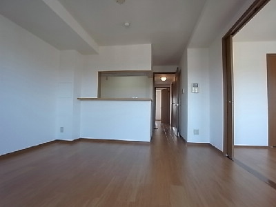 Living and room. Spacious living.