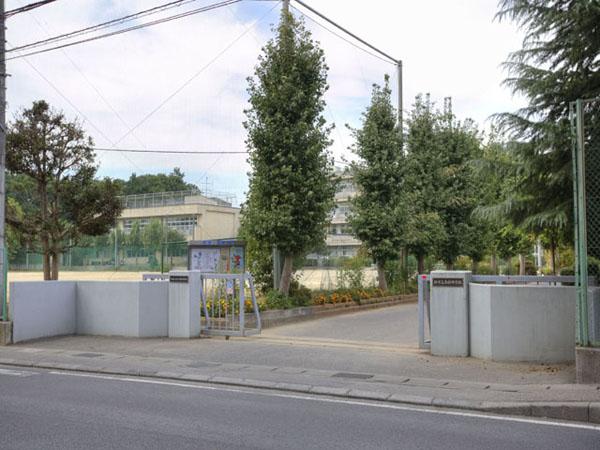 Junior high school. Kashiwashiritsu to Southern Junior High School 560m