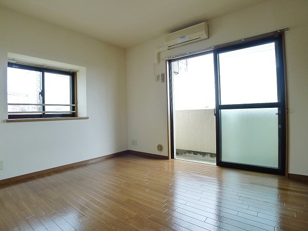 Living and room. Two-sided lighting Western-style