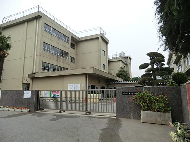 Primary school. Kashiwashiritsu Hikarigaoka 1000m up to elementary school