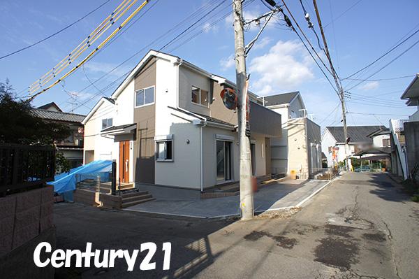 Local photos, including front road