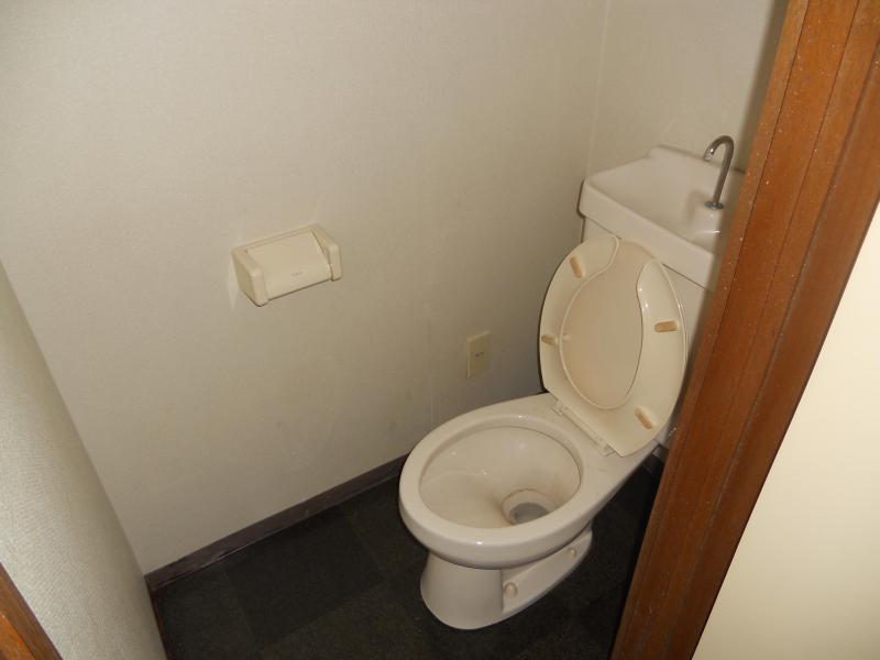 Toilet. It will flush toilet