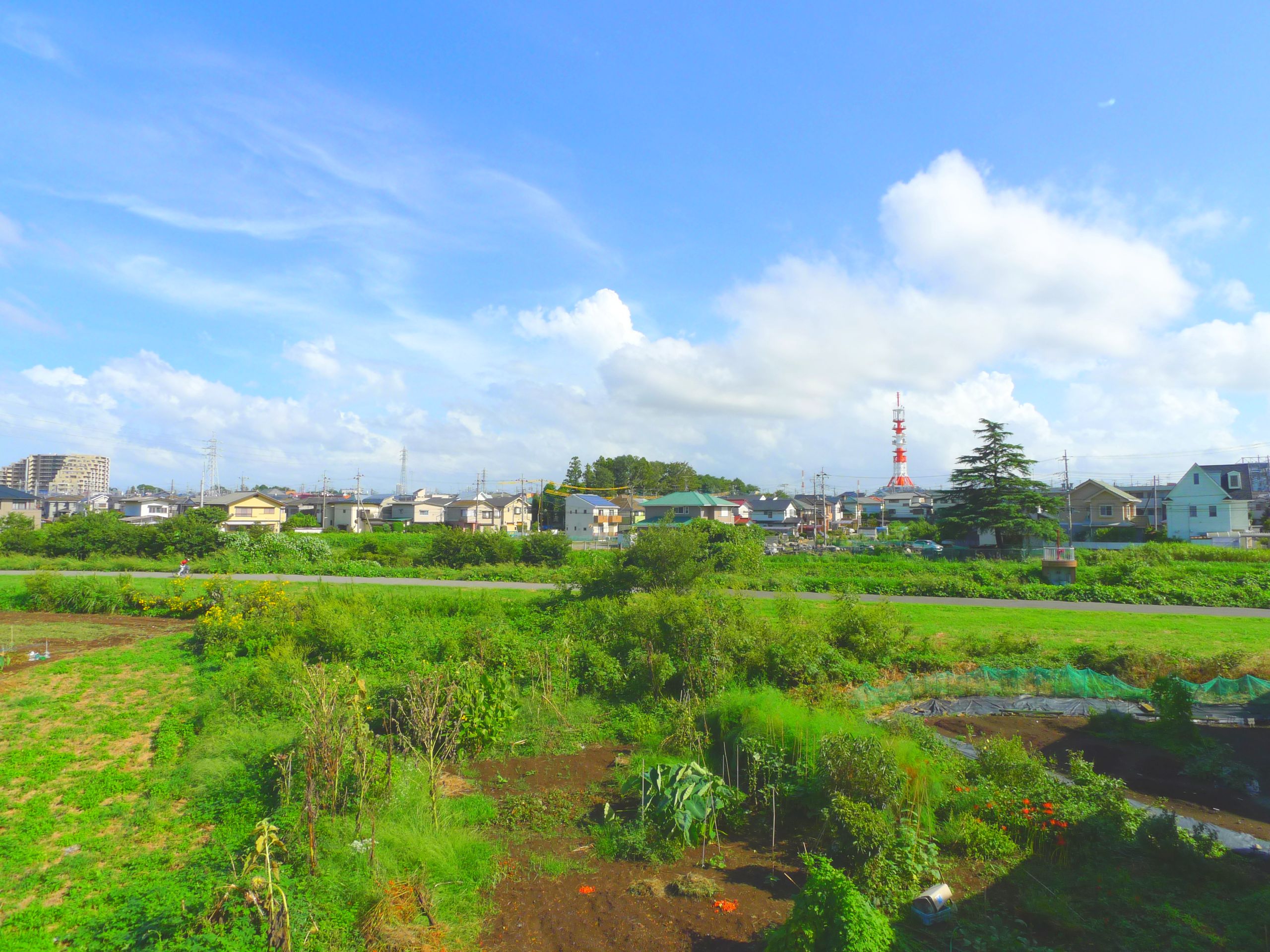 View