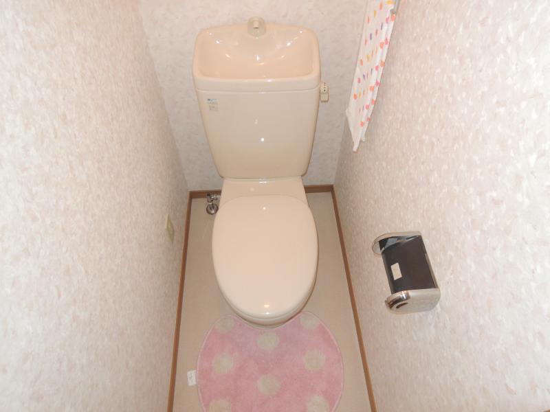 Toilet. Clean toilet