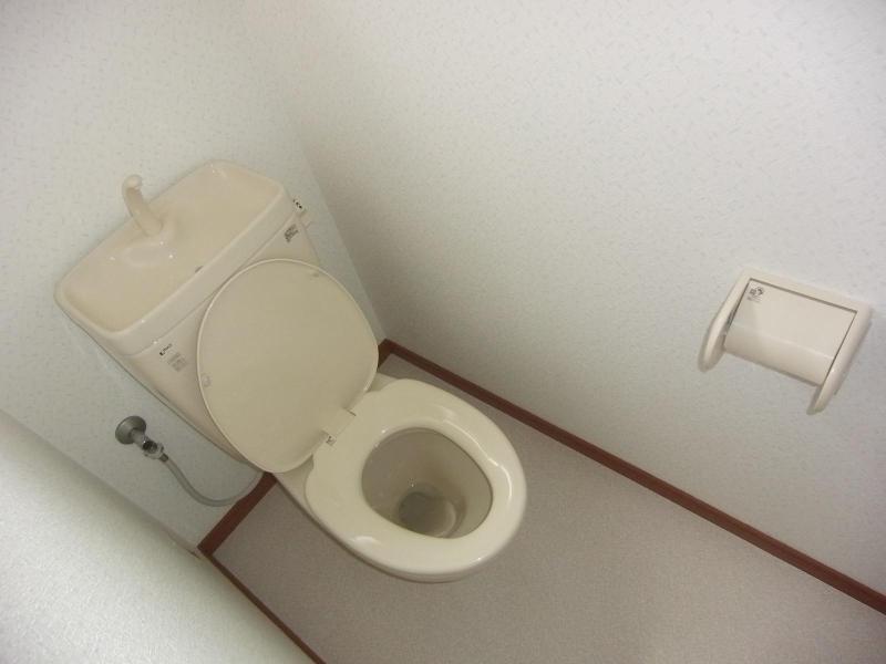 Toilet. Beautiful toilet.