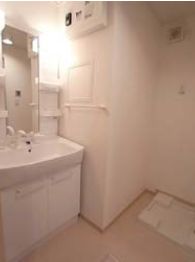 Washroom. Basin undressing ownership