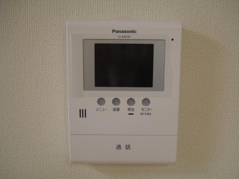 Security. TV door