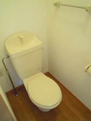 Toilet. Toilet