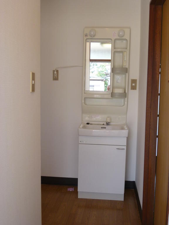 Washroom. Wash basin
