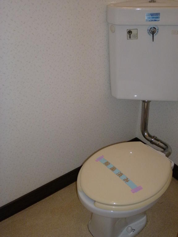 Toilet. Toilet