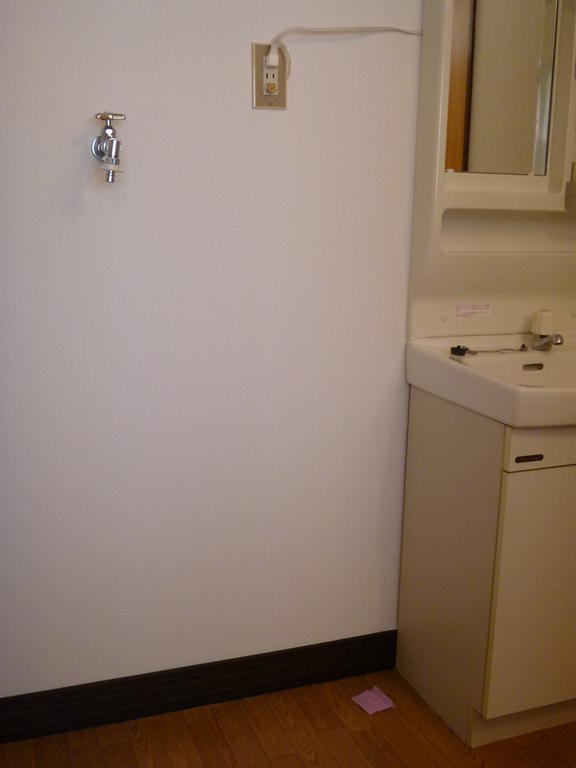Other. Laundry Area