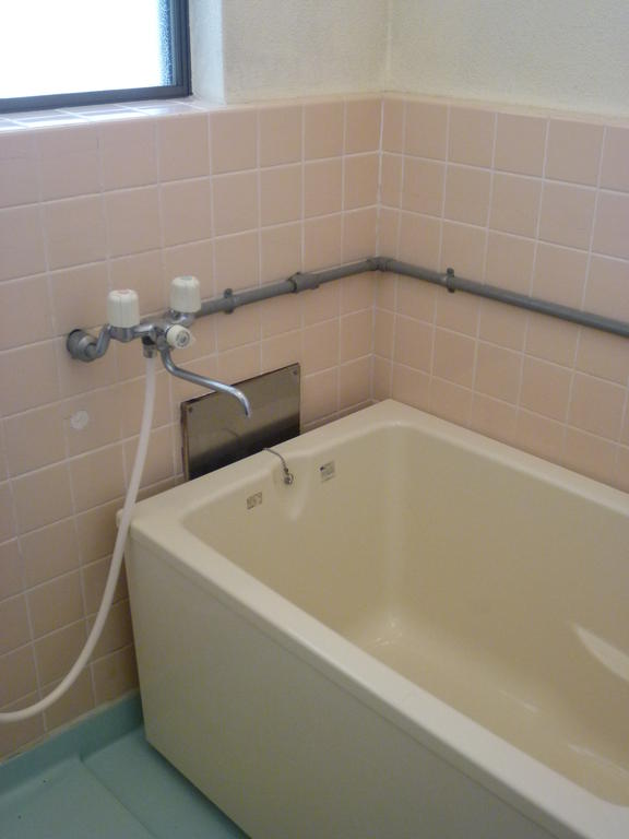 Bath. Bathroom