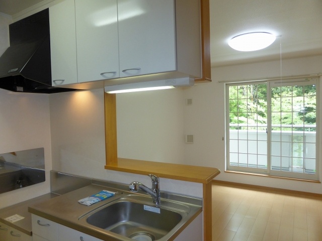 Kitchen. Face-to-face kitchen