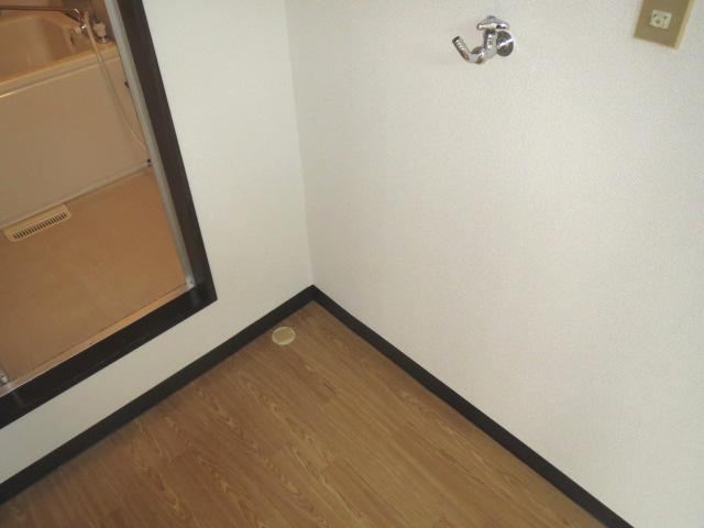 Other room space. Laundry Area