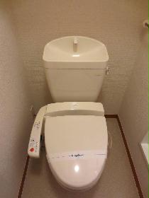 Toilet. Hot-water washing machine