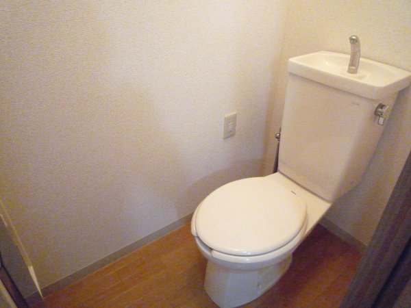 Toilet. Toilet