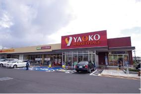 Supermarket. Yaoko 630m to Kashiwa young leaves length store