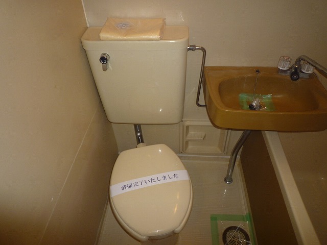 Toilet