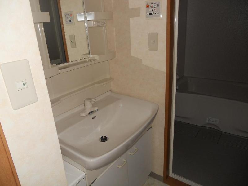 Washroom. Independent wash basin and washing machine inside the room