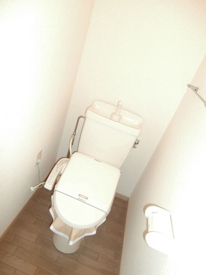 Toilet. Cleaning toilet seat