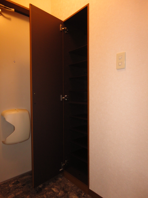 Entrance. It is safe for large shoe box even if many shoes