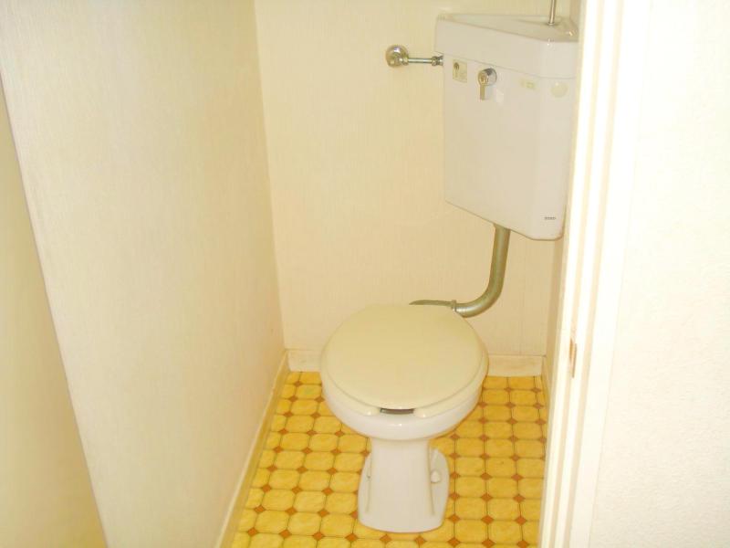 Toilet. Clean toilet