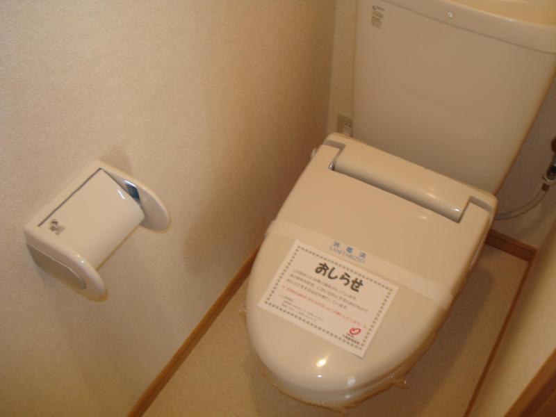 Toilet. It is clean toilet.