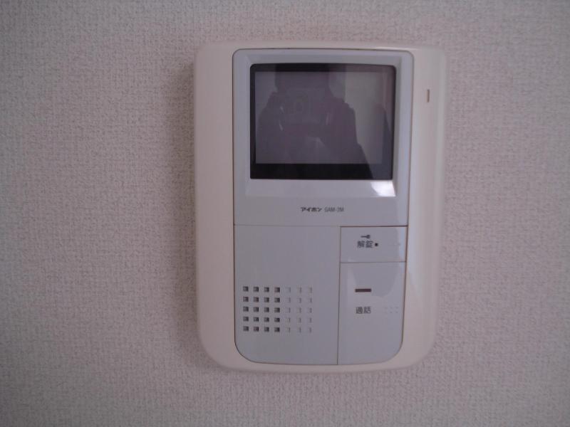 Security. TV monitor phone of peace of mind