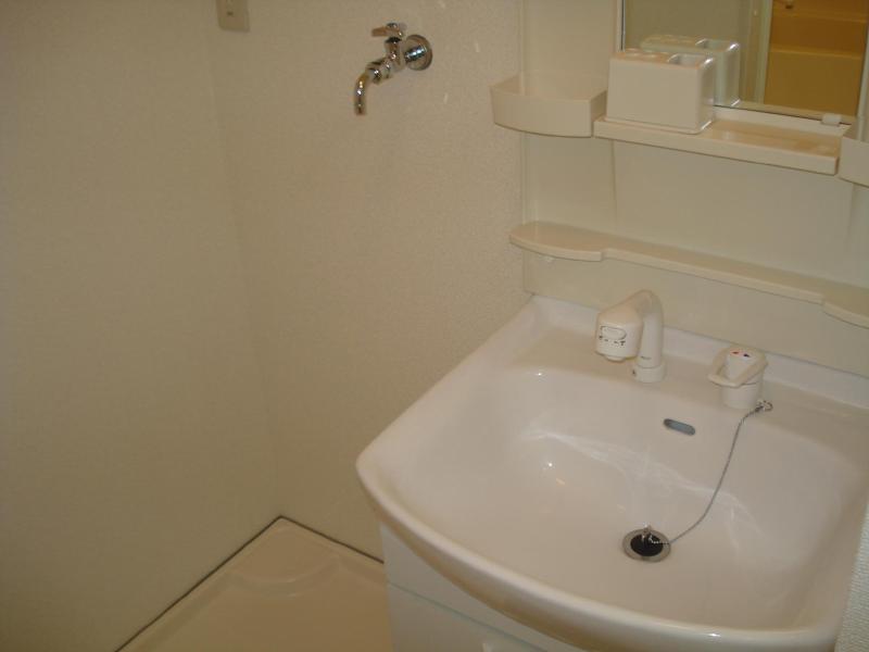Washroom. It is a beautiful wash basin.