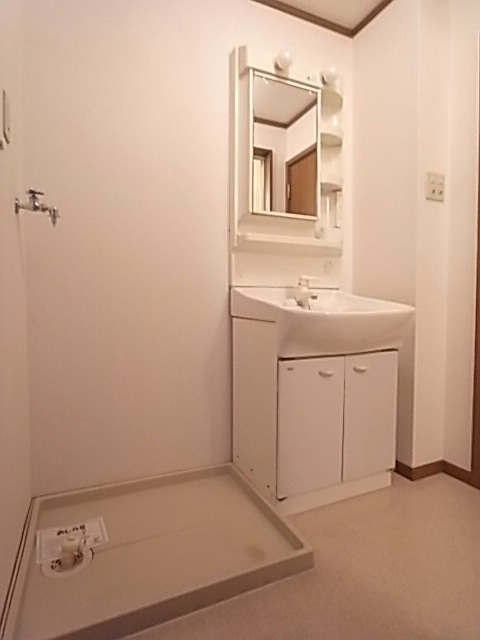 Washroom. Basin undressing ownership