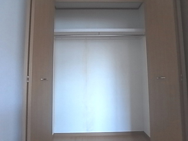 Other. closet