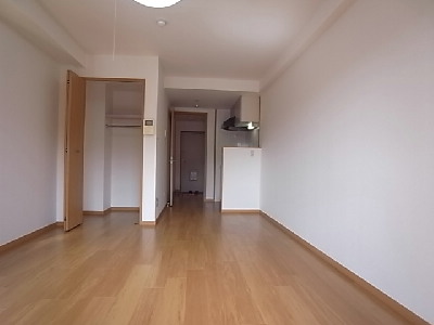 Living and room. Clean room.