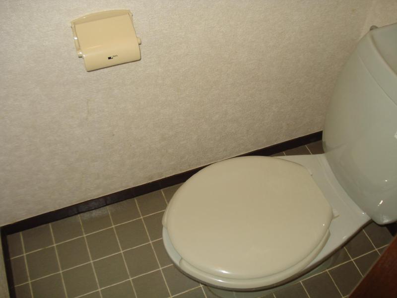 Toilet. Clean toilet