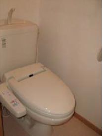 Toilet. It is a photograph of the same type type.