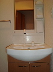 Washroom. Shampoo dresser
