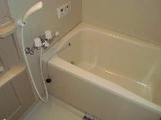 Bath. White and clean bathroom