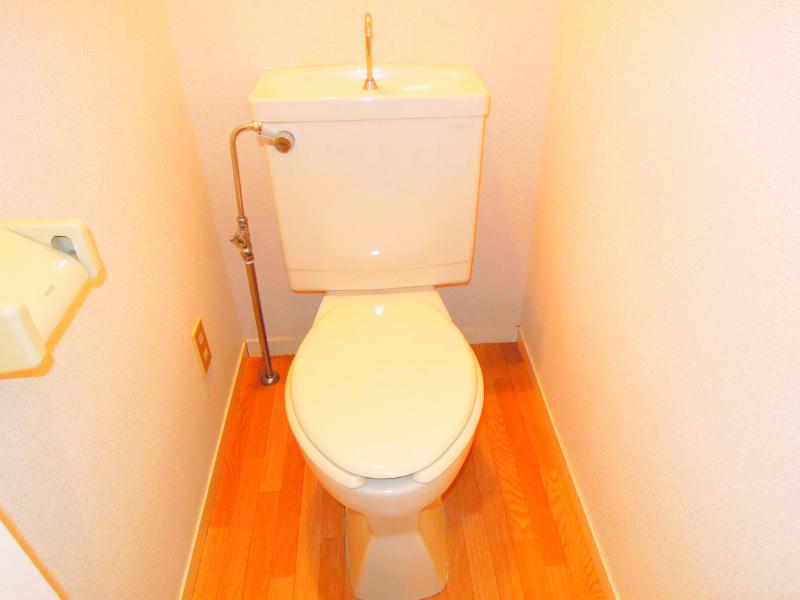 Toilet. Beautiful toilet.