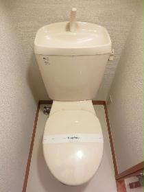 Toilet. Toilet