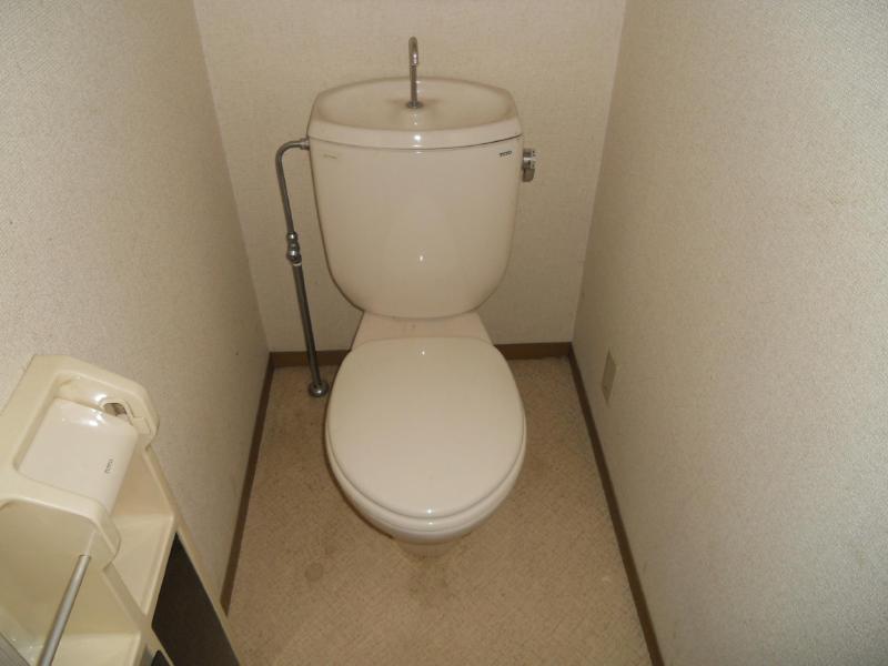 Toilet. This is very common in our toilet. . .