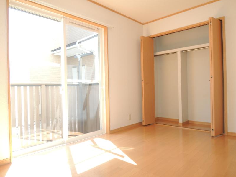 Living and room. Sunny bright rooms