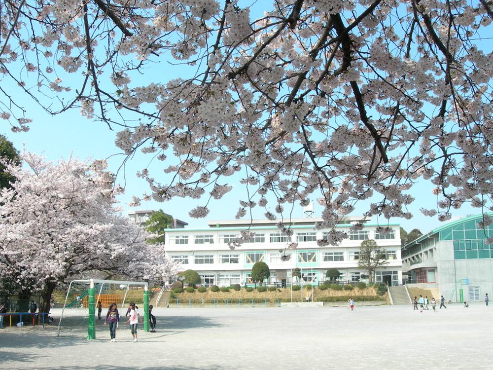 Primary school. 835m to Kashiwa TatsuKashiwa fourth elementary school