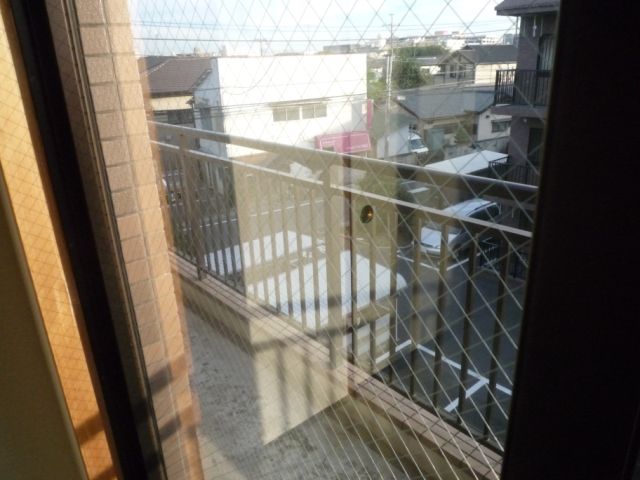 Balcony. Veranda