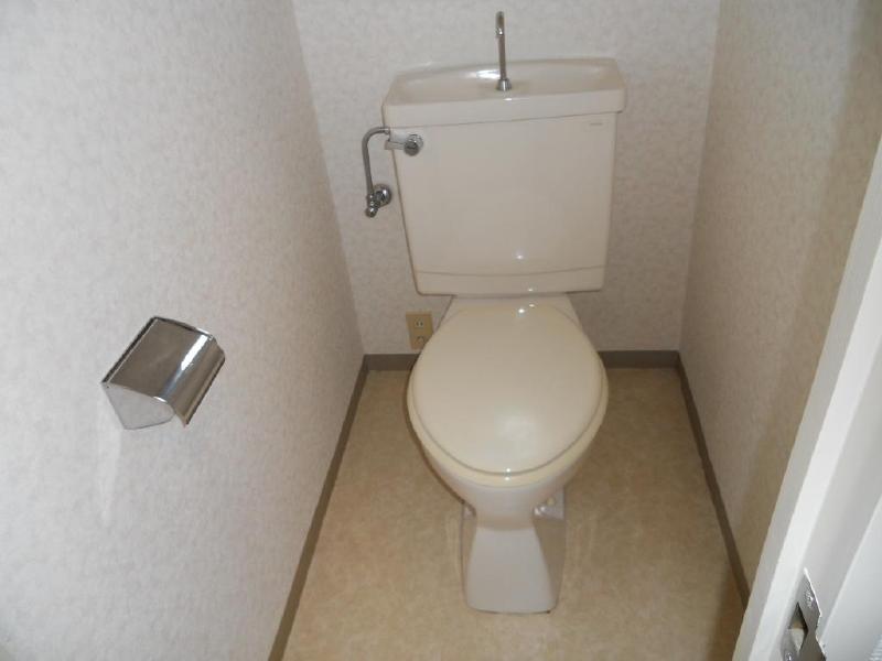 Toilet. Western-style toilet ☆