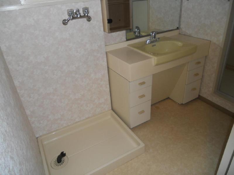 Washroom. Wash basin and washing machine inside the yard!
