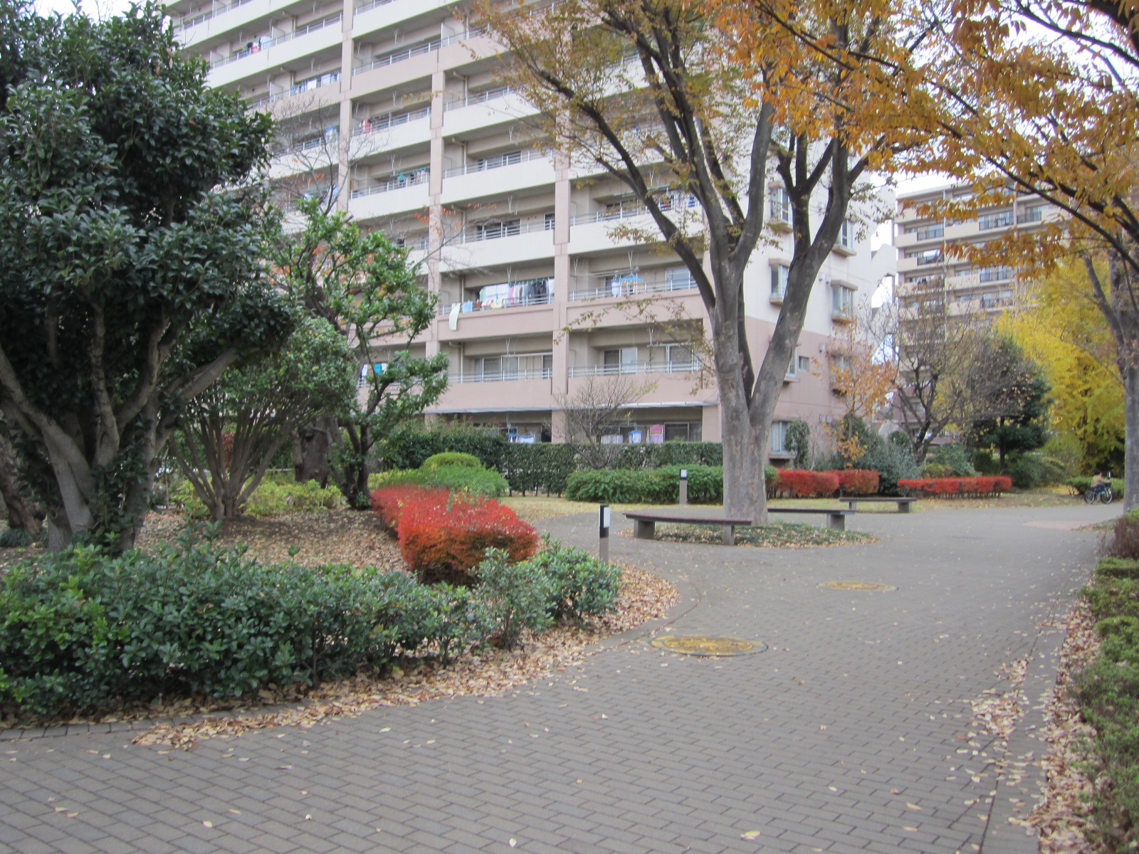 Other common areas. Housing complex in the landscape