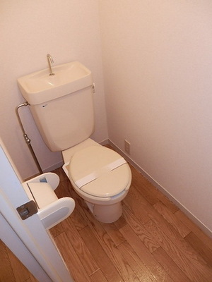 Toilet. Toilet